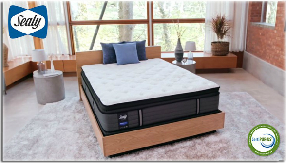 Sealy Response Mattresses